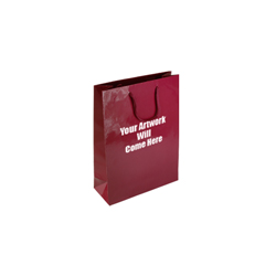 Extra Small Tiny Gloss Laminated Rope Handle Paper Bags-11x15x7cm